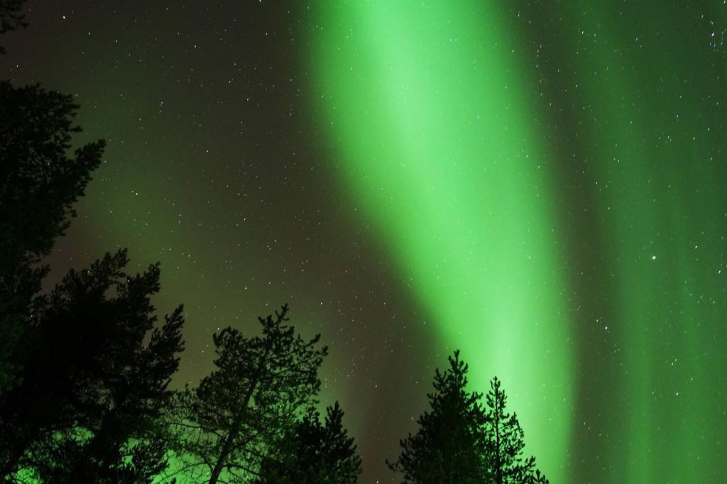 Machu Picchu muncul dari kabut pagi, seolah bangkit perlahan dari lipatan waktu.